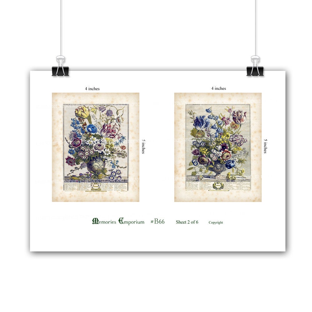 Twelve Months of Flowers, Printable Download Postcards Robert