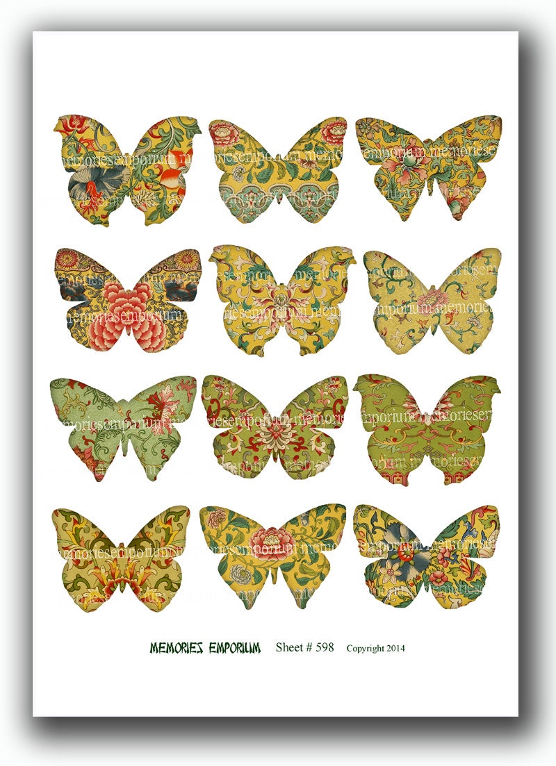 洋書 Butterflies from China, Japan, and Corea Butterflies From China, Japan, and Corea; Volume 1: Leech