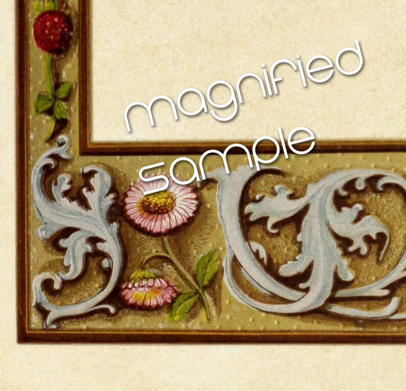 Medieval Illuminated Manuscript Pages Arched Borders Scrolls Flowers ...