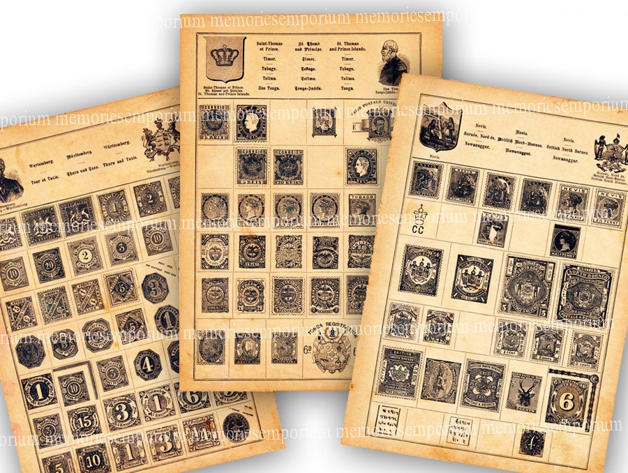  20 Sheets Stamp Pages for Stamp Album Binder 1/2/3/4 Pockets  Stamp Collectors Postage Stamp Collecting Supplies Book of Stamps 9 Hole  Standard Stamp Collecting Albums for Stamp Collectors Display : Arts