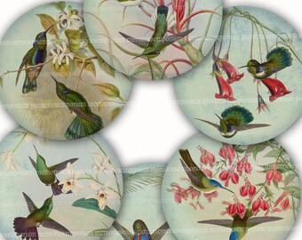 Hummingbirds Digital Collage Sheet Download Circles Antique Birds for DIY Gift Tags Jewelry Cards Magnets Compacts Decoupage Handcrafts 610