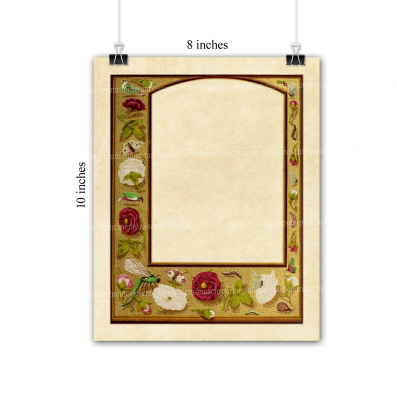 Medieval Illuminated Manuscript Pages Arched Borders Scrolls - Etsy