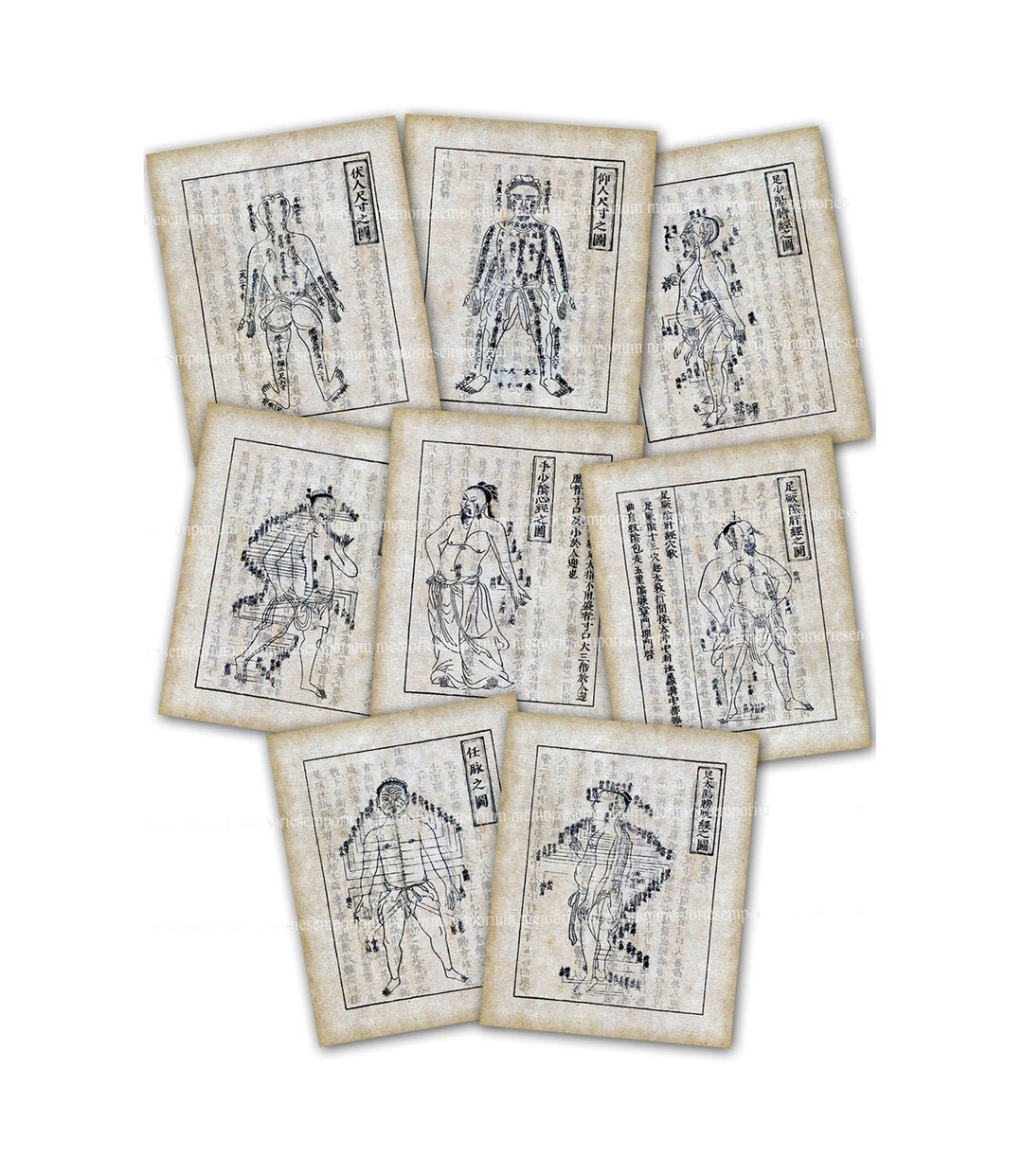 Antique Acupuncture Prints Charts Meridians Pressure Points Manuscript ...