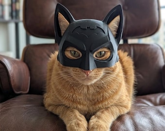 Batman cat helmet!