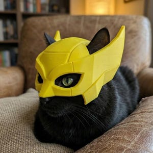 custom motorcycle helmets in charlotte nc TOP 10 BEST Motorcycle Helmet Shop in Charlotte, NC - Updated 2026