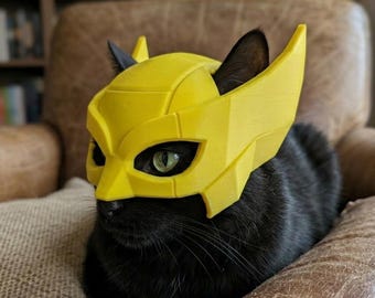 Wolverine style cat helmet!