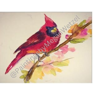 Carton de correspondance vierge Cardinal 5,5 x 4 plis