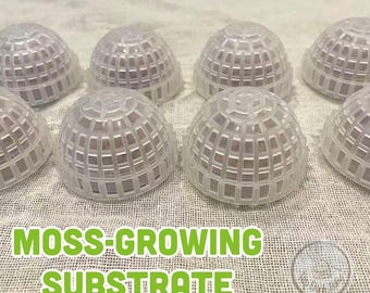 4 Pcs Hanging Moss Balls for Shrimp Tanks– Natural Aquascape Decor & Shelter, Floating Moss Balls for Fish Tank, Shrimp Habitat Enhancement