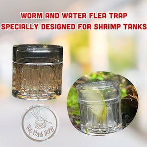 Puede incluir: Trampa cilíndrica transparente para gusanos y pulgas de agua para tanques de camarones. La trampa tiene una tapa extraíble y cámaras internas verticales. El texto de la imagen dice: "Worm and Water Flea Trap, Specially Designed for Shrimp Tanks."