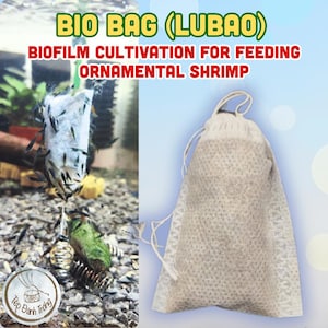 LUBAO Probiotische Beutel für Garnelen | Fermentierter Untergrund Booster | Bacillus & Algen-Biofilm | Natürlicher Aquarium Zusatzstoff