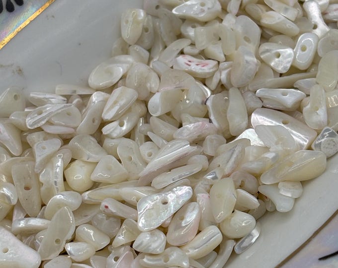 Lot of Shell Beads | Variety of colors | Flat Circle Shells | River Shells | Mother of Pearl Shell chips