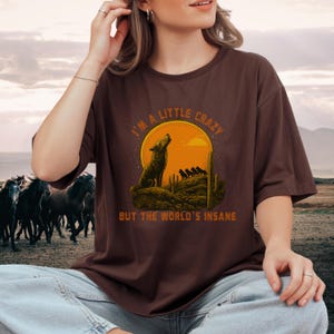 Im a little crazy, Comfort Colors Shirt, Country Concert tee, Morgan Wallen Shirt, country shirt, Im The Problem Tour, country music tee