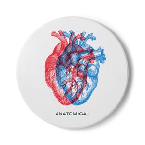 Anatomical Heart Ceramic Coaster - Unique, Artistic Drinkware, Perfect Gift for Medical Students, Home Decor, Valentine&#39;s Day, Heart Lovers