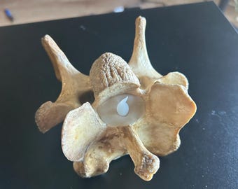 Real cow vertebrae LED candle