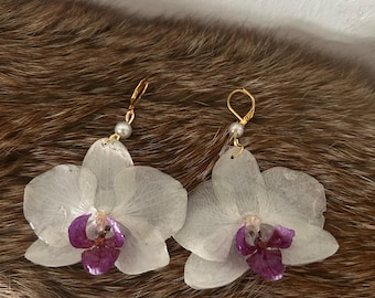 Made to order real preserved orchid earrings