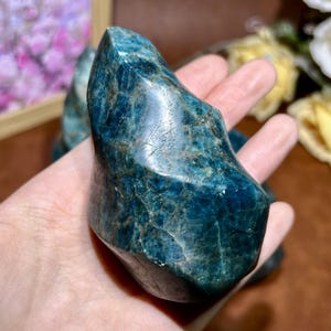 以下が含まれることがあります： 磨かれた、ティール色の燐灰石の結晶。石は、自然な縞模様と色のバリエーションを持つ、滑らかで光沢のある表面を持っています。結晶は手で持たれており、そのユニークな形状と質感を強調しています。背景はぼやけています。