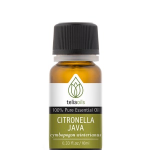Citronella Java Essential Oil - 100% Pure, Undiluted - Etsy