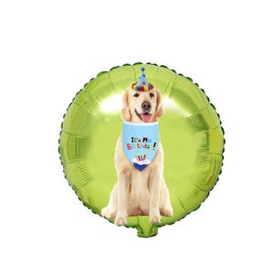 Custom Pets Photo Balloons, 18 Inch Photo Foil Balloons For Cat, Dog, Kids, Families And Friends