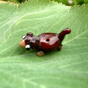 Op de afbeelding: Een miniatuur glazen teckel figuur in bruin- en beigetinten, met een glanzende afwerking. De hond heeft kleine, witte ogen en ligt op een groot groen blad. Het beeldje is een uniek decoratief item.