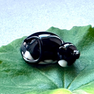 Pode incluir: Pequena figura brilhante em preto e branco de um gato a dormir. O gato está deitado numa grande folha verde, com um fundo azul claro e branco. A figura tem uma superfície lisa e reflectora.
