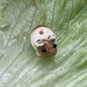 Może przedstawiać: Mała, ceramiczna figurka świnki morskiej z kremowym korpusem i brązową głową. Figurka ma czarne oczy i otwór na plecach. Spoczywa na zielonym liściu.