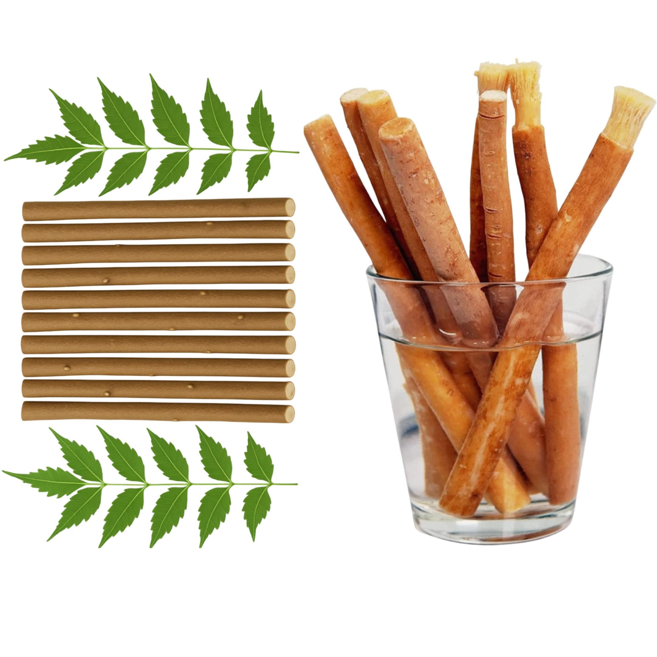 Natural Miswak Neem Datun Sticks Herbal Teeth Cleaning, Eco Friendly Oral Care
