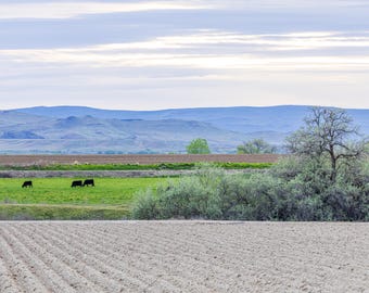 Farmland in Spring. Photographic print