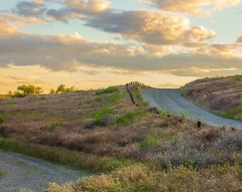 Spring Evening Along a Dirt Road. Photographic print.