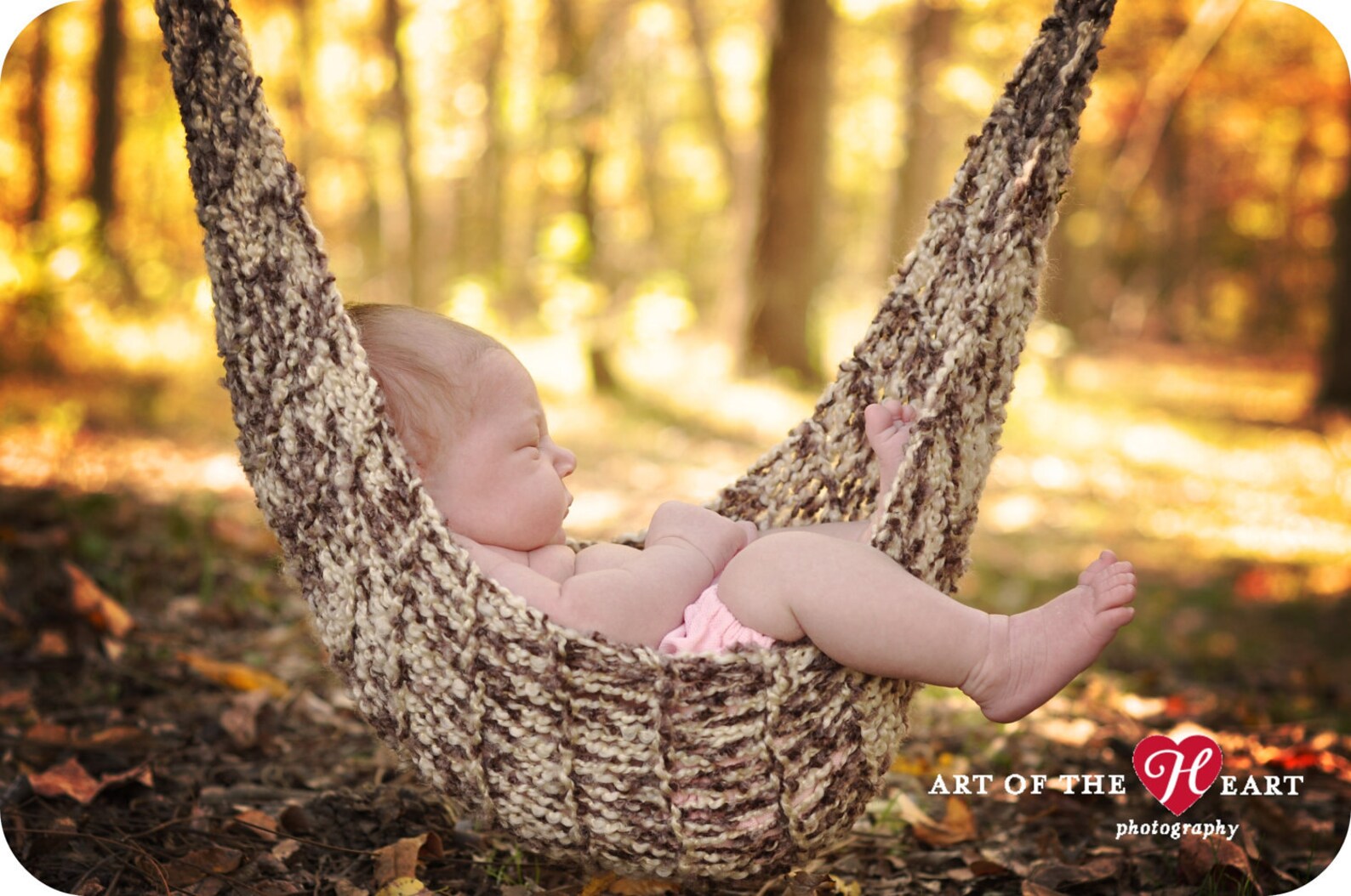Birch Baby Hammock Newborn Photo Prop Ready to Ship Etsy