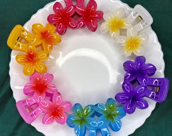 Plumeriablomma hårklämma: Tropisk Frangipani, strandaccessoar