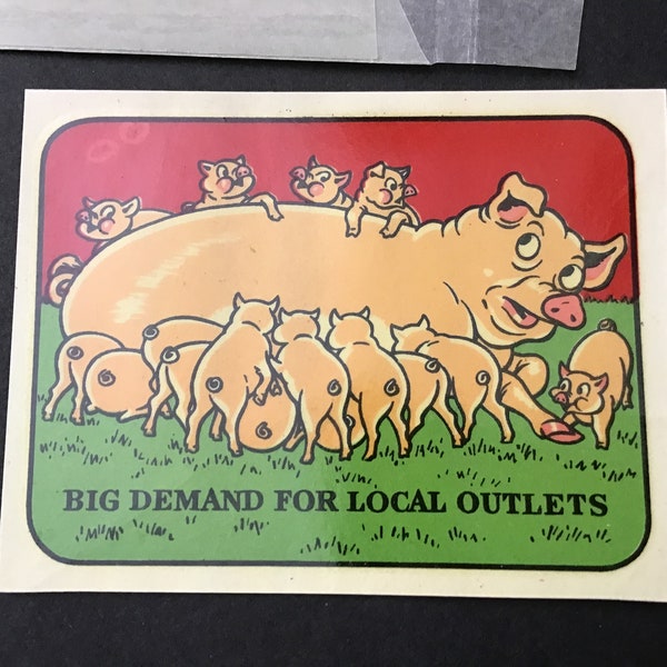 Water Slide Decal, Vintage Pig and Piglets, Big Demand For Local Outlets, Unused