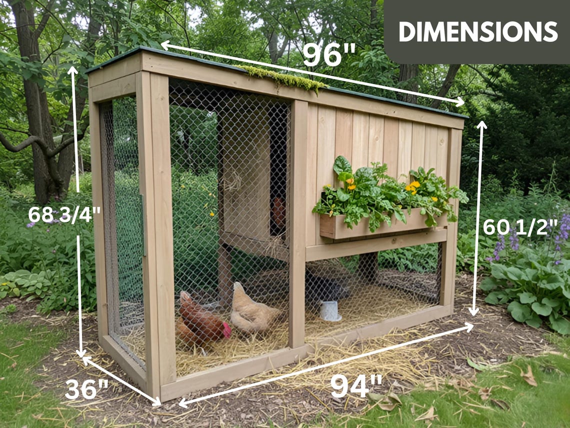 DIY Outdoor Wooden Chicken Coop Build Plan: Small Backyard Hens House ...