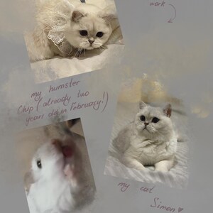 Pu&ograve; includere: Un collage di foto con un gatto bianco e un criceto bianco. Il gatto, di nome Simon, &egrave; mostrato in due foto. Anche il criceto, Chip, &egrave; mostrato. Il testo sull'immagine dice "i miei animali domestici hanno ispirato questo lavoro."