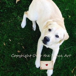 Tarjeta de felicitación para perro: ¡un labrador amarillo te envía su amor! Interior en blanco para tu nota personal