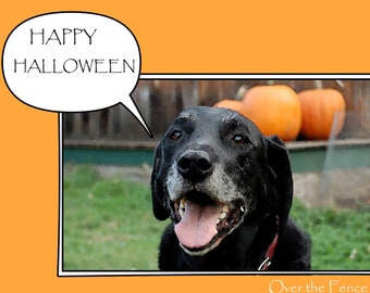 DOG HALLOWEEN art card LABRADOR Greeting Card Black Lab lover pets Animal art greeting card