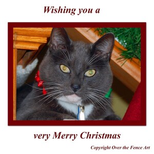 Cat Christmas Card, Cat wenst u een zeer vrolijk kerstfeest, blanco binnen voor uw persoonlijke notitie