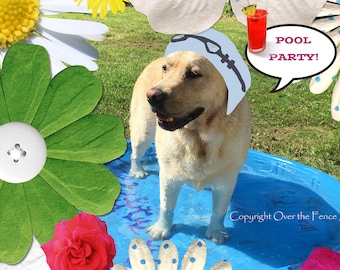 Dog Card Blank Pool Party Invite Card Labrador in Swimming Cap Invites You to Celebrate