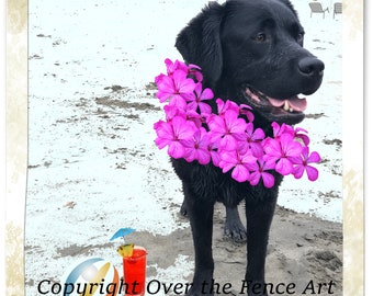 Black Labrador Says Aloha Greeting Card Note Card Pet Photo