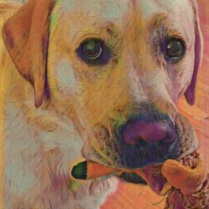 De grappige Kaart van de Groet van de Kunst van Labrador, spatie binnen voor uw persoonlijke nota