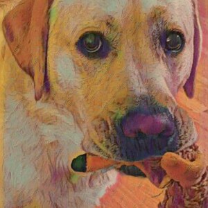 De speelse Gele Kaart van de Groet van de Kunst van Labrador, grappig laboratorium wil sleepboot spelen, blanco binnenkant voor uw persoonlijke noot