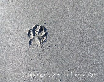 Paw Prints in Sand, Dog Photography, Handcrafted Photo Card, blank inside