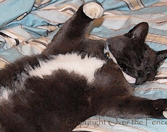 Sleeping Tuxedo Cat Photo Greeting Card Gift for Everyone