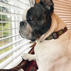 Französische Bulldogge Fotokarte, unbedruckte Innenseite für Ihre persönliche Notiz