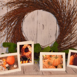 Set van 4 wenskaarten, blanco binnen voor uw persoonlijke notitie, herfst wenskaarten, Halloween kaarten, Thanksgiving kaarten, pompoen fotokaarten