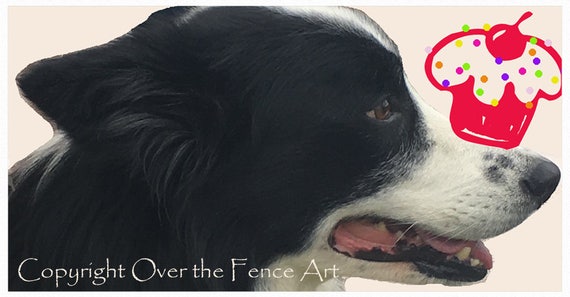 Chien Border Collie De Carte Carte Anniversaire Carte Dog Art Etsy Chien Border Collie De Carte Carte Anniversaire Carte Dog Art Etsy