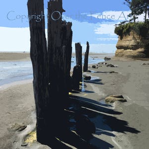 Foto wenskaart, oude palen, Copalis Beach Washington, Iron Springs, lege kaart binnen voor uw persoonlijke notitie