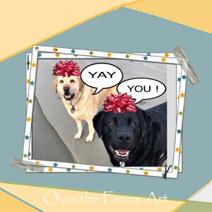 Grappige wenskaart, Happy Labradors Vieren met je mee, blanco binnen voor je persoonlijke notitie