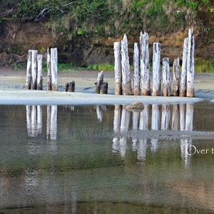 Foto Grußkarte, Old Pilings, Copalis Beach Washington, Iron Springs, Blankokarte innen für deine persönliche Notiz