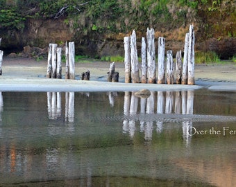 Photo Greeting Card, Old Pilings, Copalis Beach Washington, Iron Springs, blank card inside for your personal note