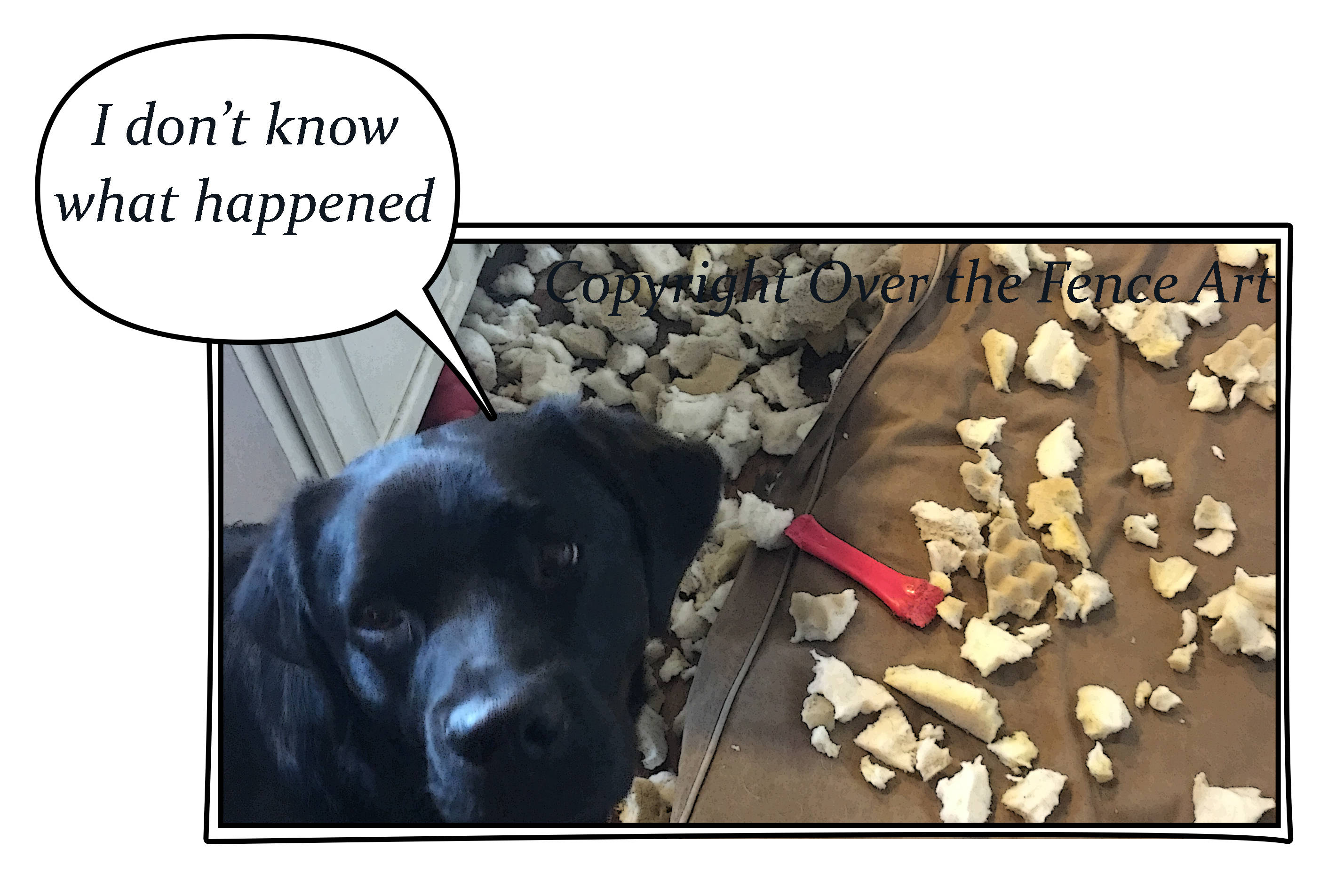 Dog Card Black Funny Labrador Puppy Destroys Dog Bed Photo - Etsy Dog Card Black Funny Labrador Puppy Destroys Dog Bed Photo - Etsy